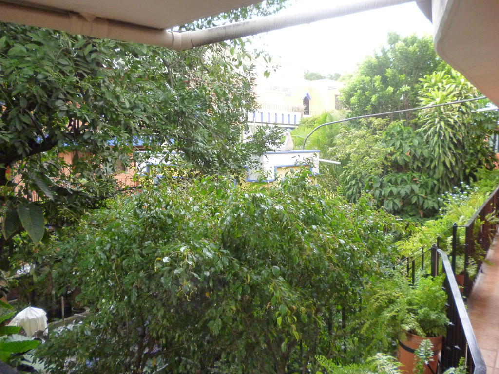 Hotel Casa Arnel Oaxaca Extérieur photo